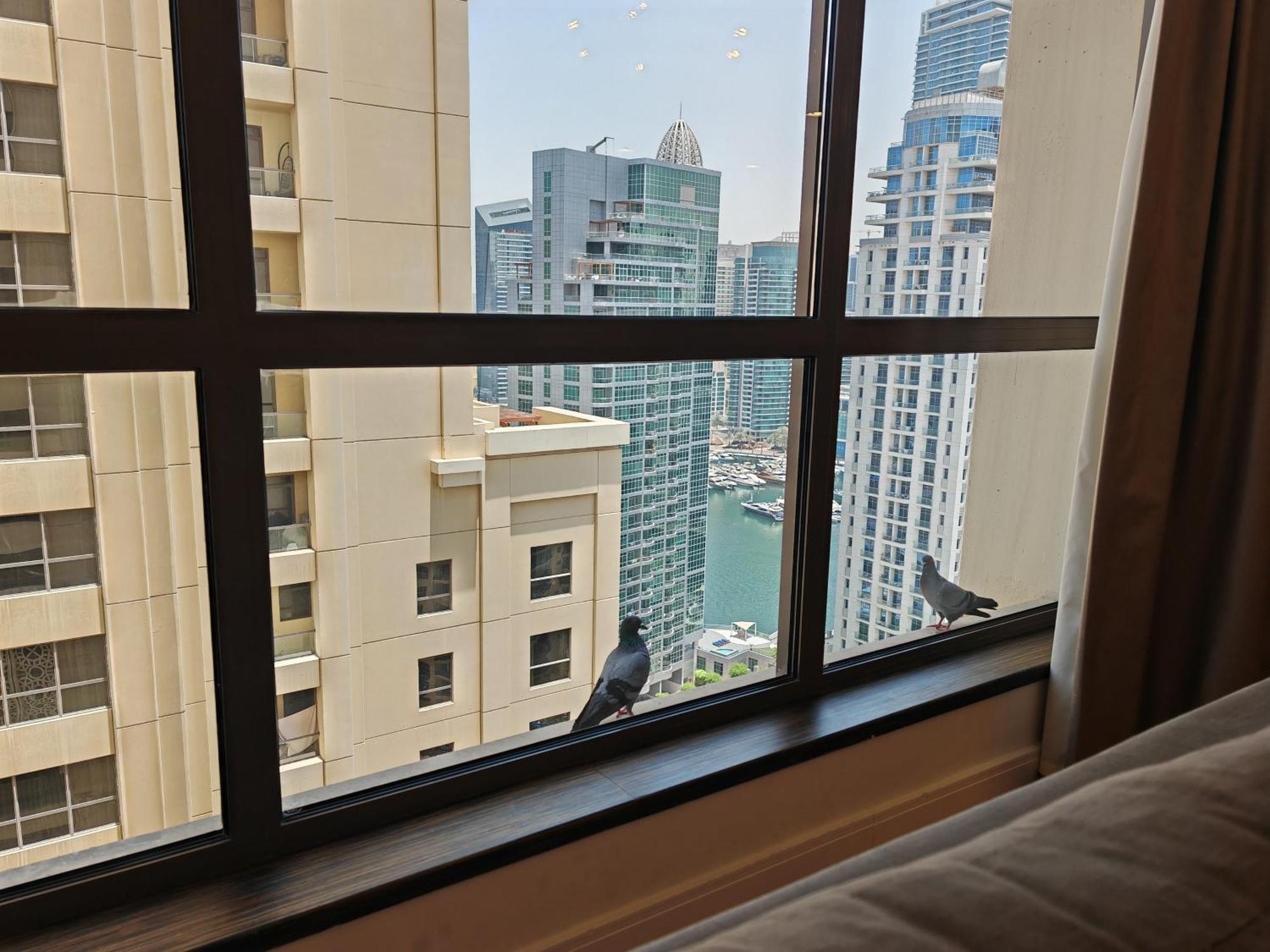 Apartment Stunning 5 1 Bedroom On Jbr With Marina View On High Floor Maid's Room, Near Mall, Metro & Cinemas - By Sunkissed Homes *